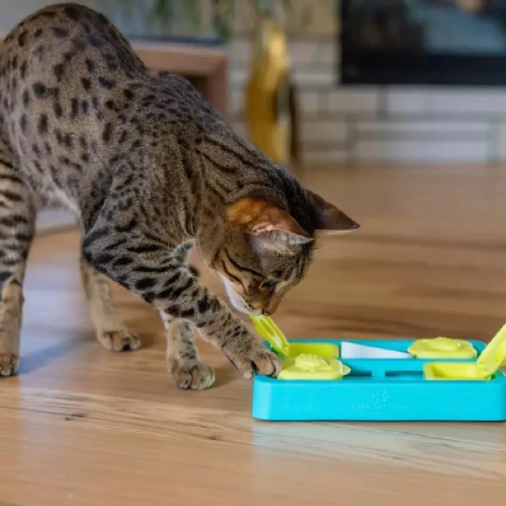 Catstages Kitty Cube Game Cat Toy